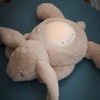 Nattou LED-Nachtlicht Koala-Bär, Sternhimmel-Projektor, 3 LED-Farben, 5 Klänge und Lieder,