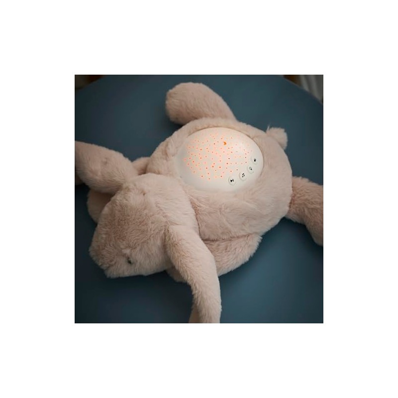 Nattou LED-Nachtlicht Koala-Bär, Sternhimmel-Projektor, 3 LED-Farben, 5 Klänge und Lieder,
