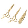 Hair Cutting Thinning Scissors Set Stainless Steel Hairdressing Haircut Stylish