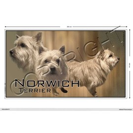 Pets-Easy.com Panoramic Dog Sticker 15 cm to 100 cm Norwich-Terrier 25 par 14 cm