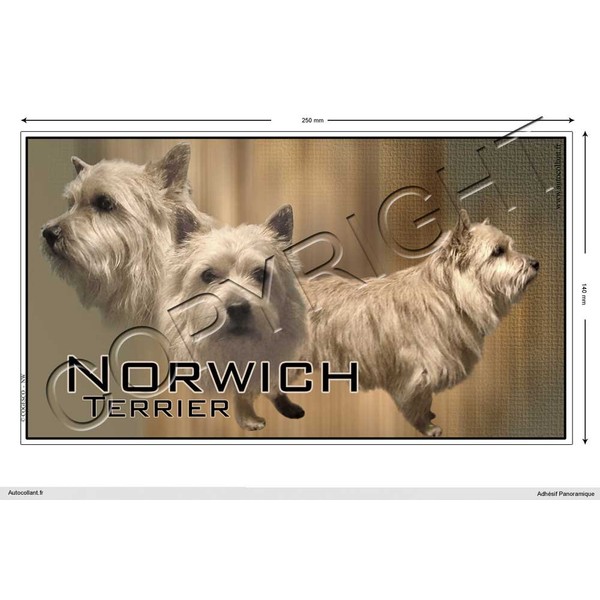 Pets-Easy.com Panoramic Dog Sticker 15 cm to 100 cm Norwich-Terrier