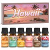 ARVIDSSON Hawaii Fragrance Oil Set, Summer Essential Oils for Diffuser,