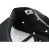 Champion Baseball Cap, Embroidered, Black, One Size Fits All