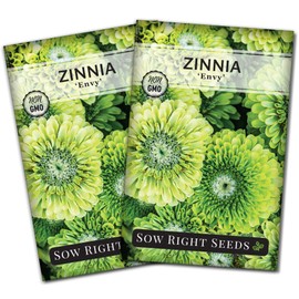Sow Right Seeds - Zinnia Envy Flower Seeds for Planting - Beautiful Flowers to Plant in Your Garden - Non-GMO Heirloom Seeds - Chartreuse Green Variety - Attract Pollinators - Giant Cut Flower (2)
