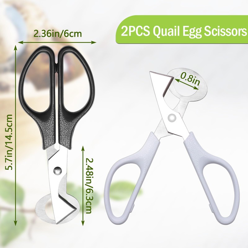 Adecco LLC Pigeon Quail Egg Cutter Scissors Stainless Steel Blades