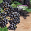 Organic Elderberry Extract 7500mg – High-Strength Black Sambucus Extract –