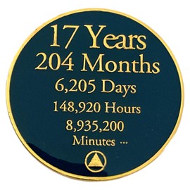 17 Year Sobriety Countdown Alcoholics Anonymous, Anniversary AA Medallion, Chip, Token