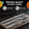 Exquisite Silver Plastic Forks 50 Pieces Silver Forks Disposable Utensils