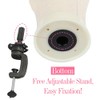Mannequin Head with Clamp Stand, Canvas Wig Holder Poly Manikin