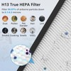 2 Pack P280 P260 Replacement Filter Only Compatible with TPLMB