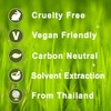 Benzoin 100% Pure Essential Aromatherapy Oil 100ml