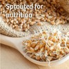 Silver Hills Squirrelly Bread, Low Fat Bread, Made with Organic