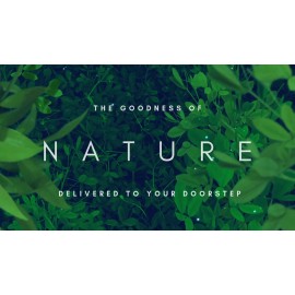 NutriONN PSYLLIUM HUSK CAPSULES - 1450mg Per Serving - 240 Capsules - Premium Product