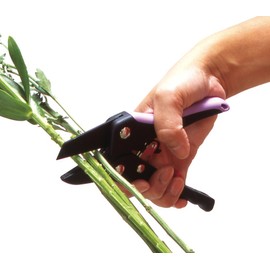 マック 力のいらない剪定鋏 ラチェットパワーミニ SE-71