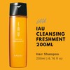 Lebel IAU Cleansing Fishment Shampoo 200ml