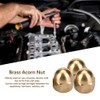 20 Pcs Brass Cap Nuts Set M6 Brass Nuts Vehicle