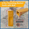 5 Pcs Bucket Teeth Replace 1U3202 1U-3202 Fit for J200