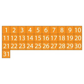 Calendar Date Magnets by DCM Solutions (Orange, 0.75"x0.75")