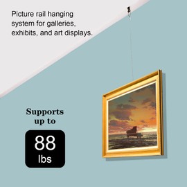 Pack of 2 Wire Rope Steel Rope Stainless Steel Rope 2 m Picture Suspension Wire, Automatic Wire Rope with Eyelets and Movable Hook for Panel Light Picture Billboards Lamp, Max 40 kg