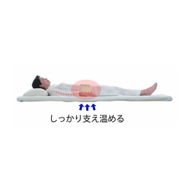 [Sleep Of The Lower Back Pain Prevention] It Not Back Pillow