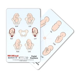 YardCard - Student Midwife Reference Card Set: Weight Conversions, Bishop Score, Foetal Positions, Abbreviations