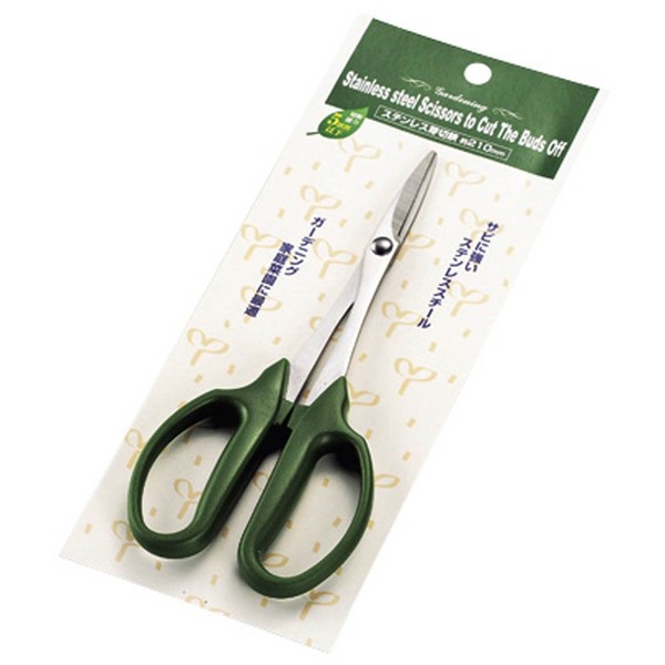 Echo Metal Kitchen Scissors Dark Green 210x85xh10 mm 1536 – 520 
