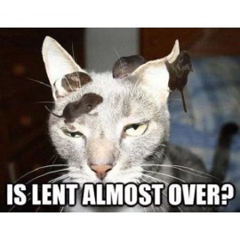 Funny Cat  refrigerator magnet 3 1/2x 3 1/2"