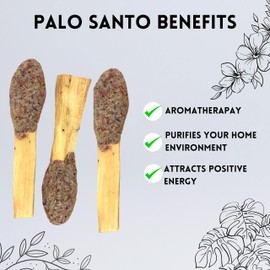 Soul Sticks 2 Pack Palo Santo Pops - Sacred Wood Incense Sticks for Cleansing, Meditation & Aromatherapy - Natural Scented Smudging Sticks with Herbs, Resin and Palo Santo Powder - (Blue Sage)