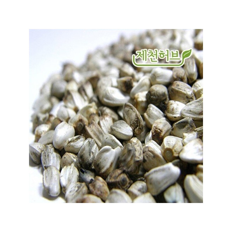 홍화씨 300g Safflower Seeds 300g