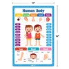 Classroom Educational Posters - 20pcs 16” x 11” - Teacher