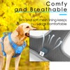ThinkPet Anti-Pull Dog Harness, with Handle, Easy to Control, Adjustable,