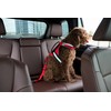 Pet Seatbelt