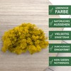 sphagnum-shop.com Real Decorative Moss Reindeer Moss in Yellow 500 g