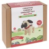 Shudehill Giftware Creative Chenille Crochet Kits Bear, Rabbit, Horse, Duck,