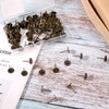100pcs Heavy Duty Thumb Tacks, Alloy Flat Head Push Pins