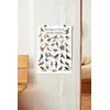 Where's Wildlife Backyard Birds of South Dakota Bird Identification Poster