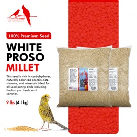 Morning Bird White Proso Millet Bird Seed Bag 18 lbs (2-Pack, 9 lbs Each) – Healthy & Nutritious Pet Bird Food is Ideal for Seed Eating Birds - Parakeets, Finches, Cockatiels