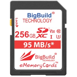BigBuild Technology 256GB U3 95MB/s Memory Card for Panasonic Lumix DMC G7, G70, G70MEG K, G7H, G80, G80H, G80M, G9, G9L, GH5, GX80, GX80 H, GX80EG, GX80EG-K, GX80HECK, GX85, GX85WK, GX8AEG Camera