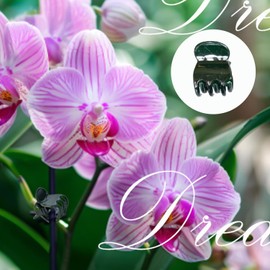 30 clips para plantas, pinzas para orquídeas para plantas, pinzas para flores y vides para apoyar tallos y enredaderas que crecen verticalmente, verde oscuro