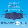 Biho Mask Made in Japan 4 Layer Construction, Double Uses