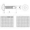 Self Drilling and Self Tapping Pan Head Phillips Screws (Pack