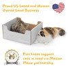 Hide & Scratch Cardboard Cat Scratcher Box & Bed -