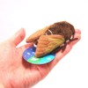 Chitamakko Abrazemi Magnet