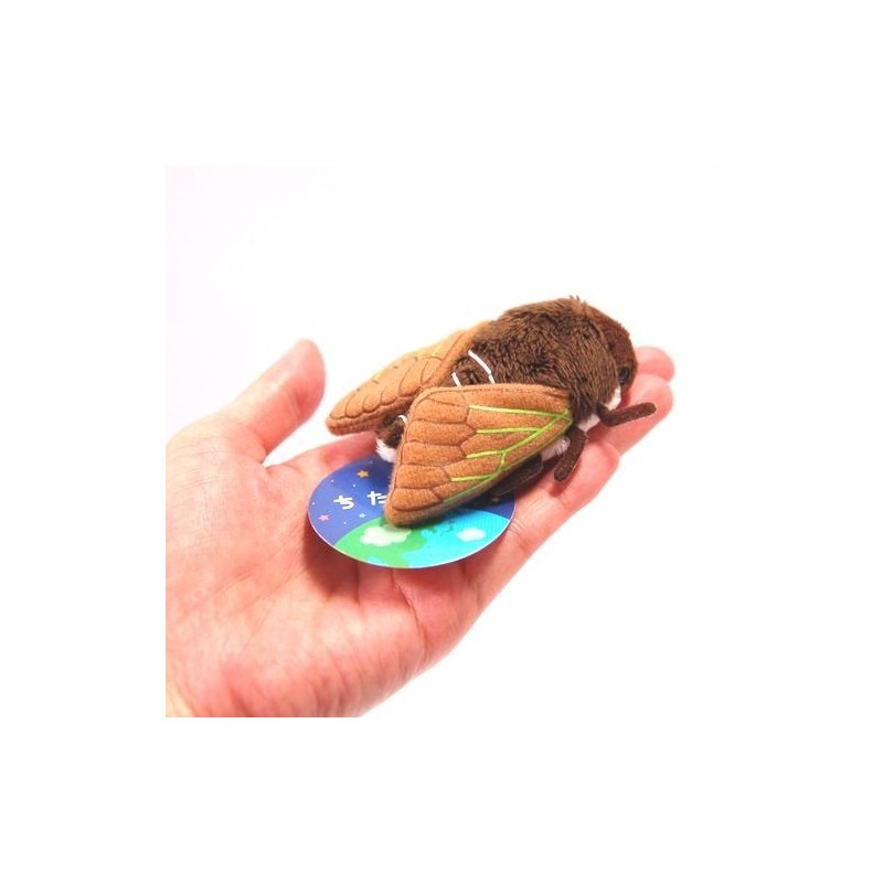 Chitamakko Abrazemi Magnet