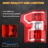Nakuuly Tail Light Compatible With 2018 2019 2020 Ford F150