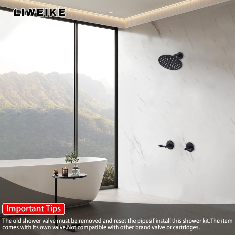 LIWEIKE 2 Handle Shower Faucet Set, Matte Black Two Handles