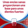 Parodontax Toothpaste – 3 Packs of 75 ml – Total: