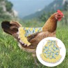 XINGSUI Pack of 4 chicken apron, chicken protection chickens, hen