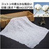 使い捨てタオル 圧縮タオル 個包装 小型 軽量 携帯 フェイスタオル 22×20cm 防災 アウトドア