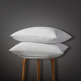 Globon Luxury Down Pillows Queen Size Set of 2, 100% Cotton Shell Hotel Collection Bed Pillow for Sleeping, Soft Support Medium Firm Down Surrounded Feather Pillow 20" x 30"